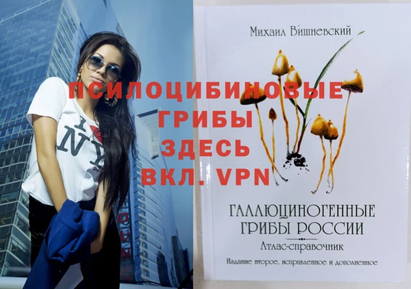 мдпв Баксан
