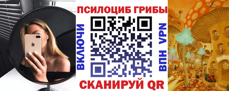 Псилоцибиновые грибы Psilocybe  мориарти формула  Козельск 